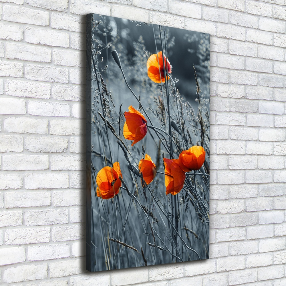 Tableau toile imprimée Coquelicots des champs