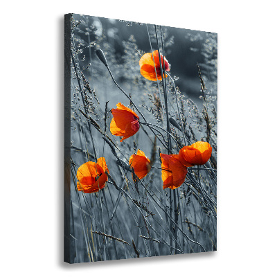 Tableau toile imprimée Coquelicots des champs