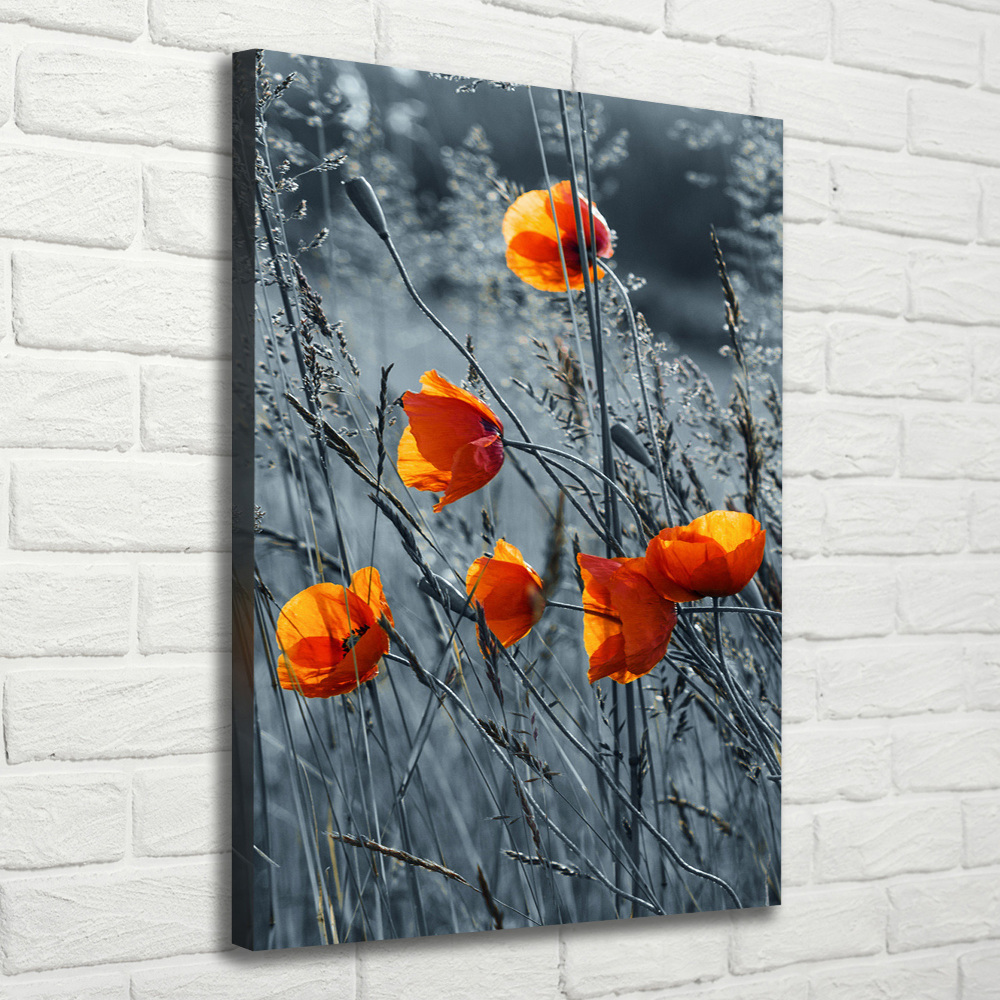 Tableau toile imprimée Coquelicots des champs