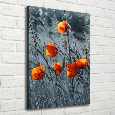 Tableau toile imprimée Coquelicots des champs