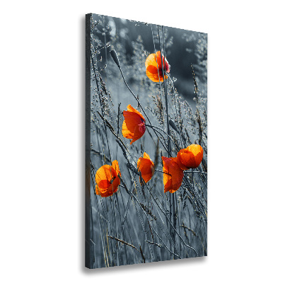 Tableau toile imprimée Coquelicots des champs