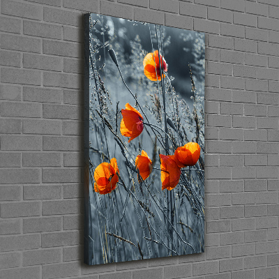 Tableau toile imprimée Coquelicots des champs