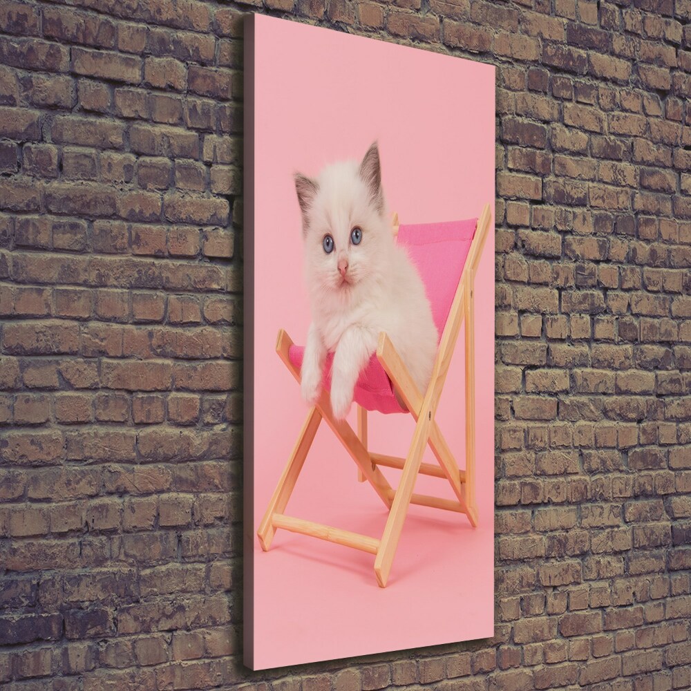 Tableau sur toile Chat dans une chaise longue