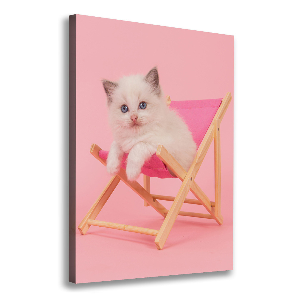 Tableau sur toile Chat dans une chaise longue