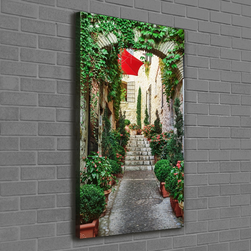 Tableau sur toile Ruelles France