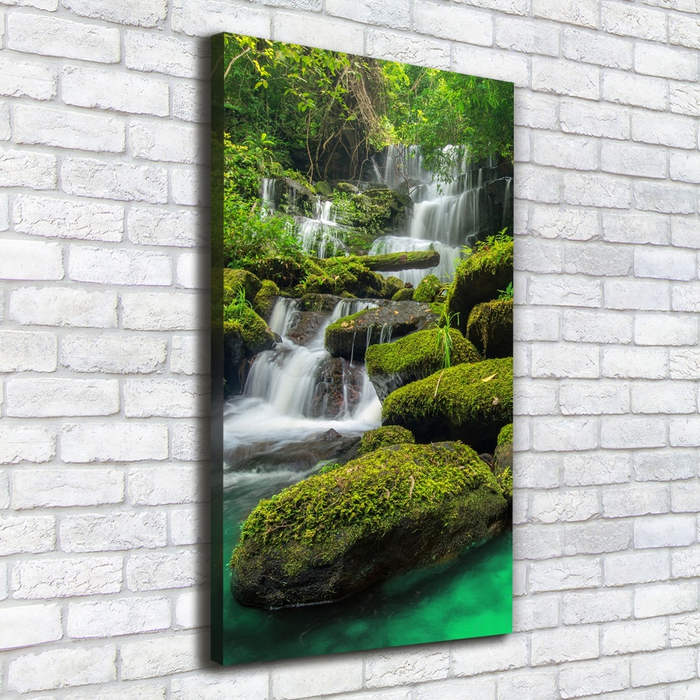 Tableau toile imprimée Chute d'eau dans la jungle