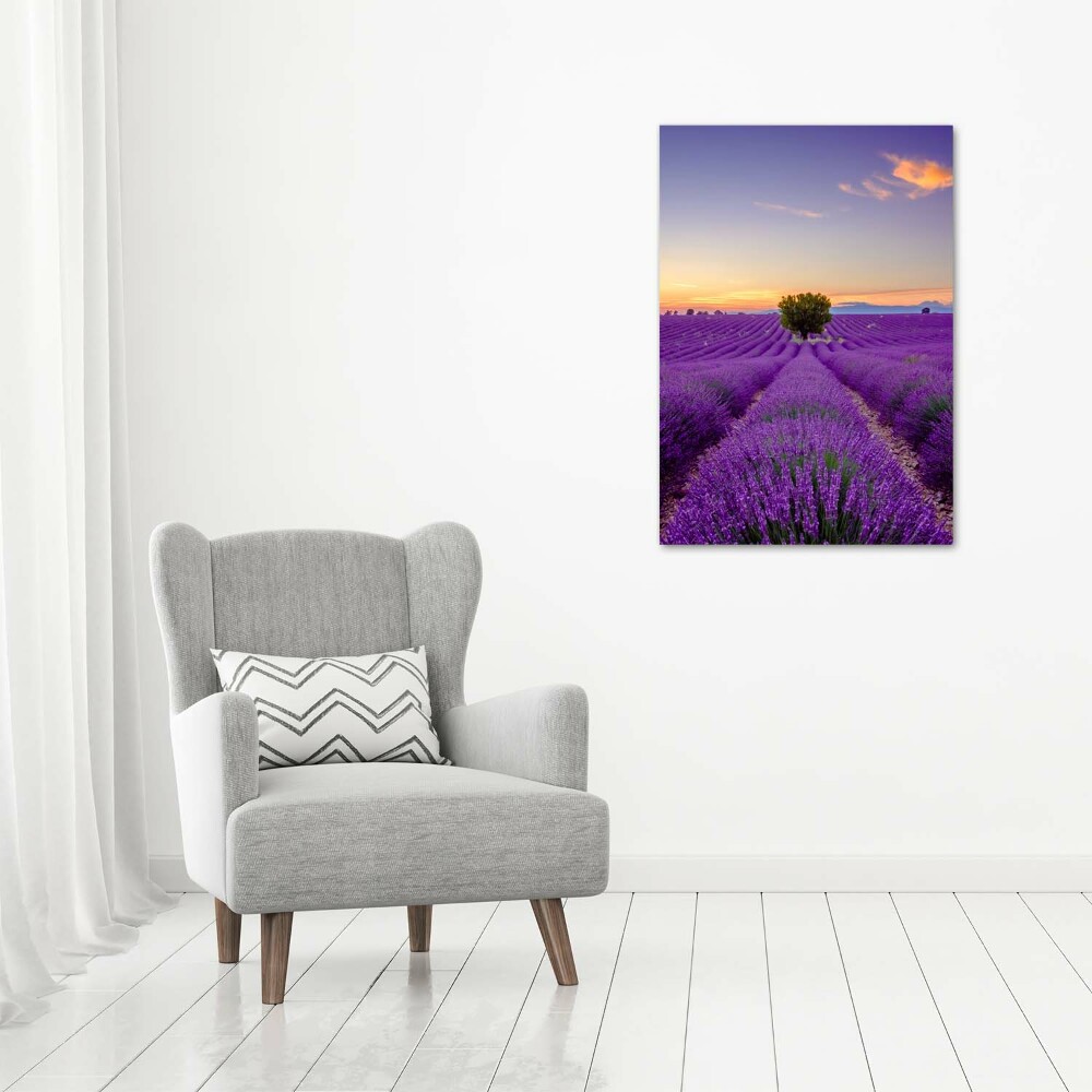 Tableau photo sur toile Champ de lavande violette