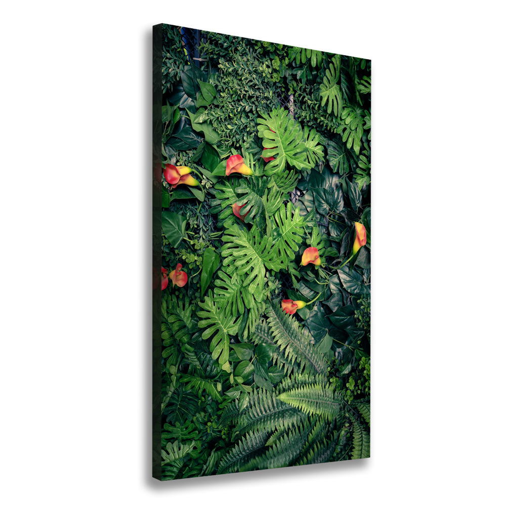 Tableau photo sur toile Plantes tropicales