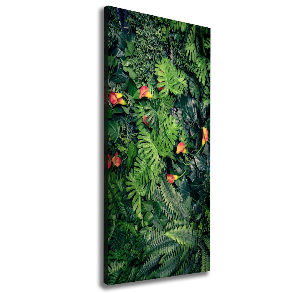 Tableau photo sur toile Plantes tropicales