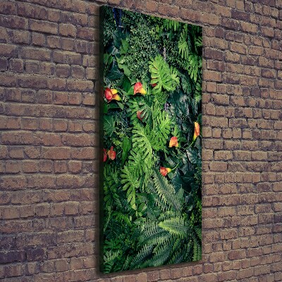 Tableau photo sur toile Plantes tropicales