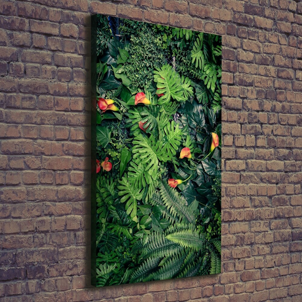 Tableau photo sur toile Plantes tropicales