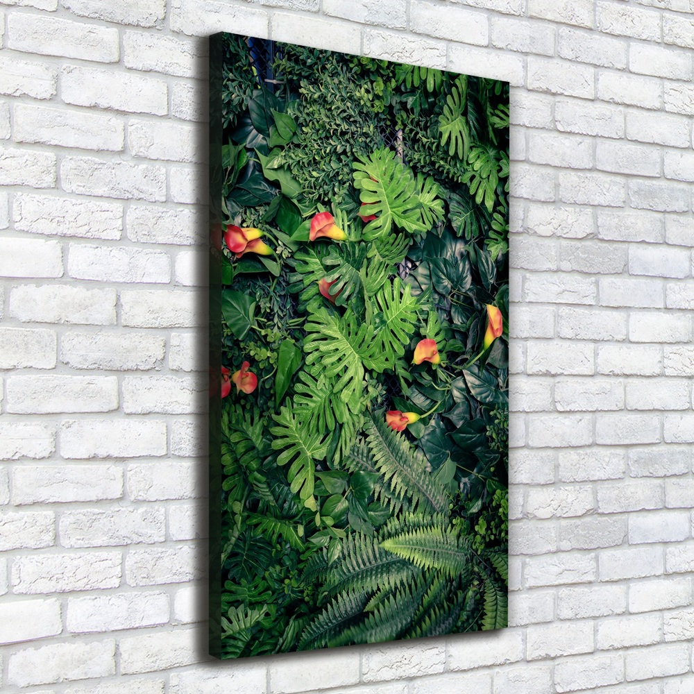 Tableau photo sur toile Plantes tropicales