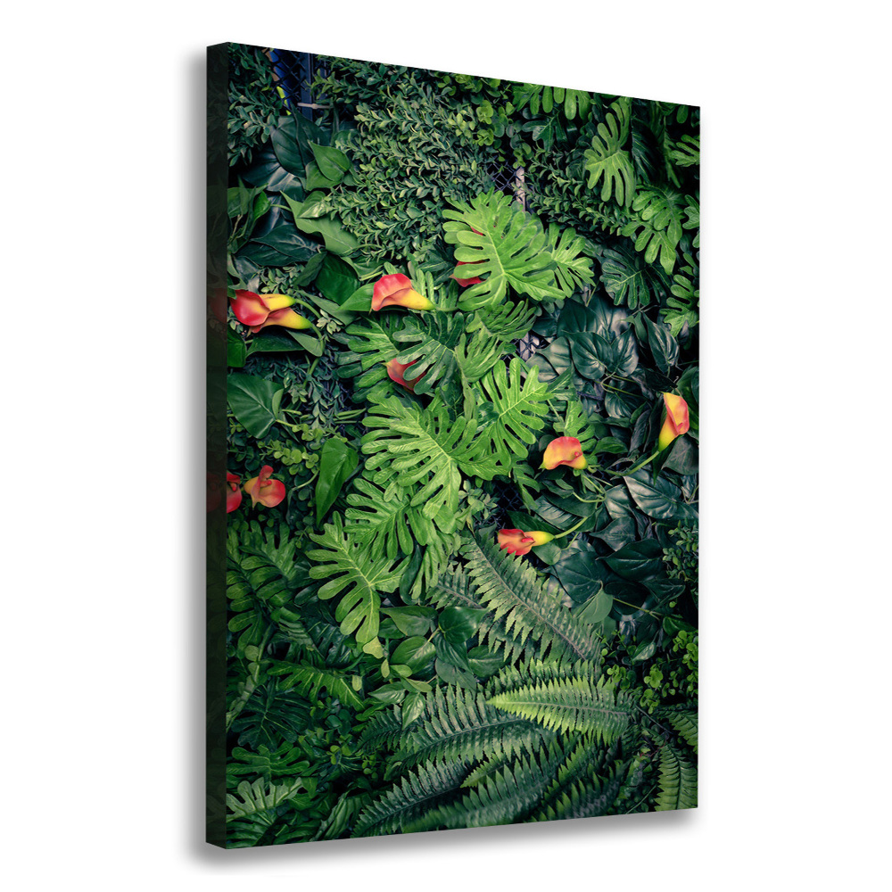 Tableau photo sur toile Plantes tropicales