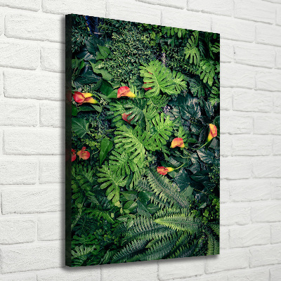 Tableau photo sur toile Plantes tropicales