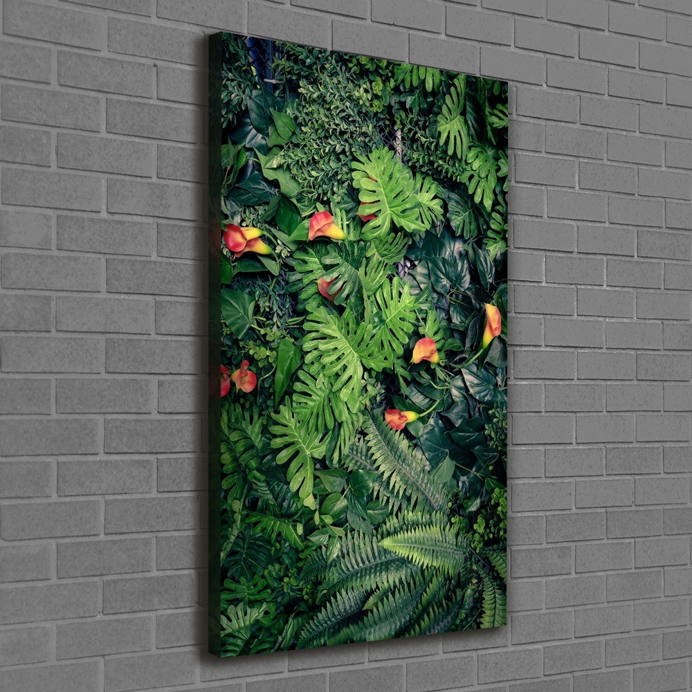 Tableau photo sur toile Plantes tropicales