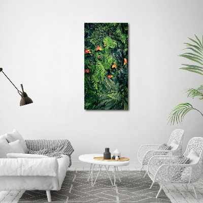 Tableau photo sur toile Plantes tropicales