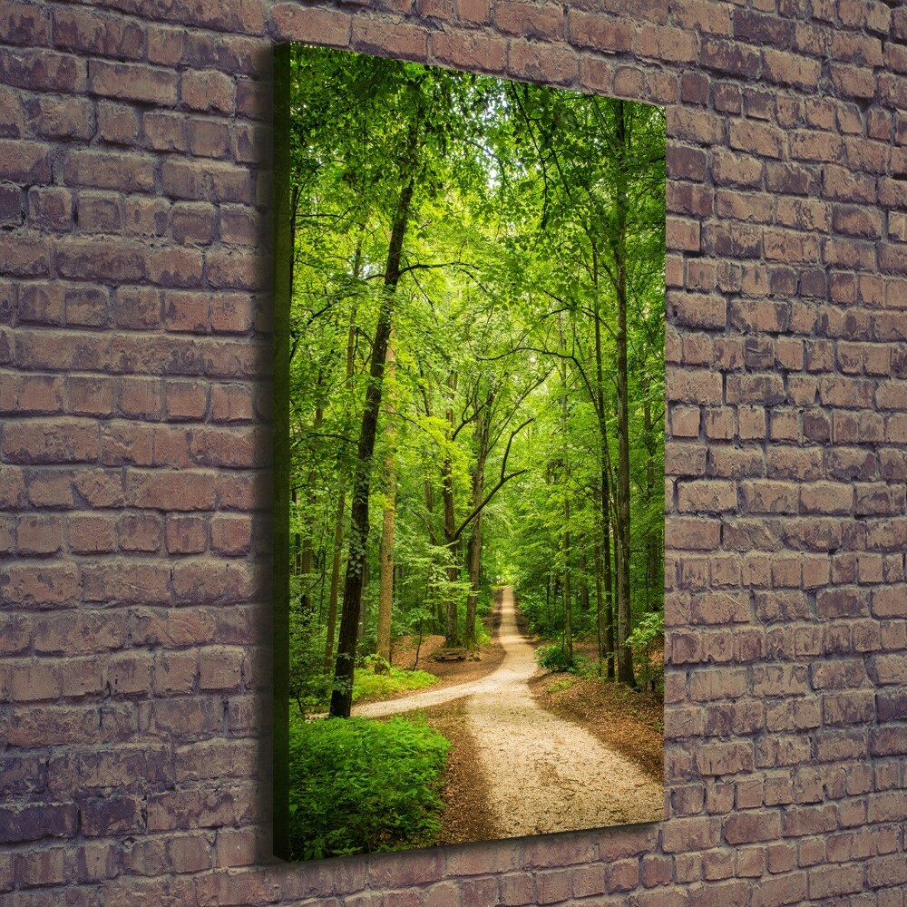 Tableau photo sur toile Chemin dans la forêt