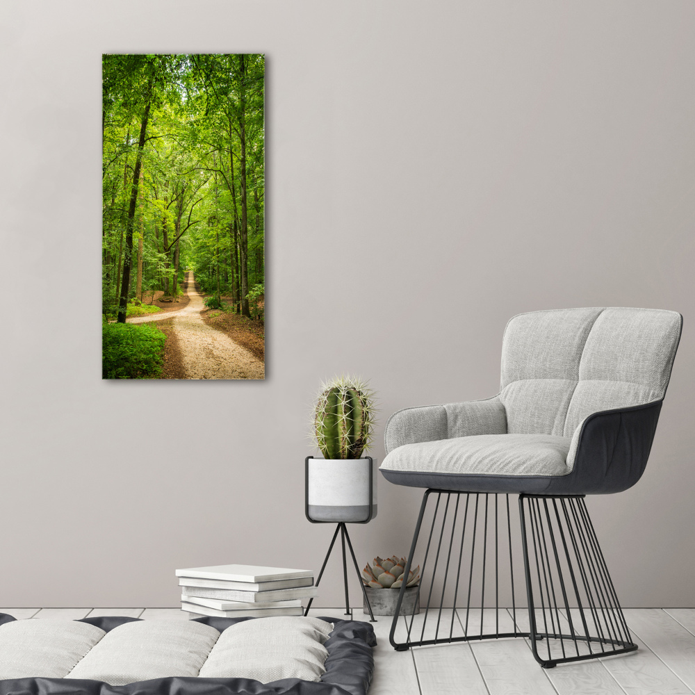 Tableau photo sur toile Chemin dans la forêt