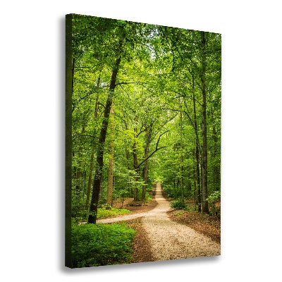 Tableau photo sur toile Chemin dans la forêt