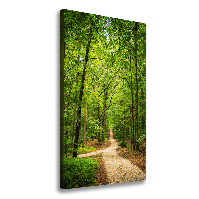 Tableau photo sur toile Chemin dans la forêt