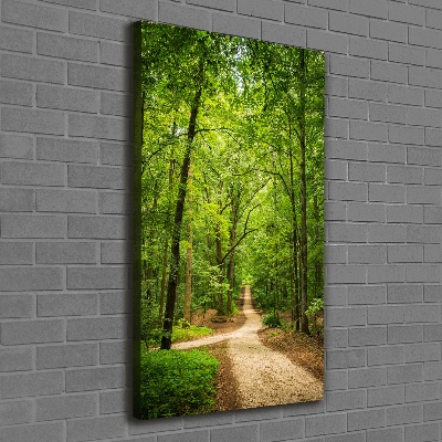 Tableau photo sur toile Chemin dans la forêt