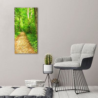 Tableau photo sur toile Sentier dans la forêt