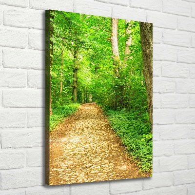 Tableau photo sur toile Sentier dans la forêt