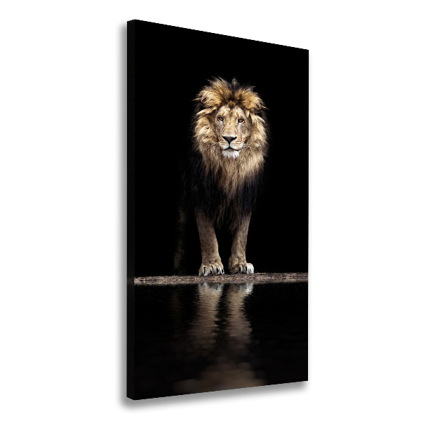 Portrait d'un lion