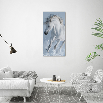 Tableau sur toile Cheval blanc au galop