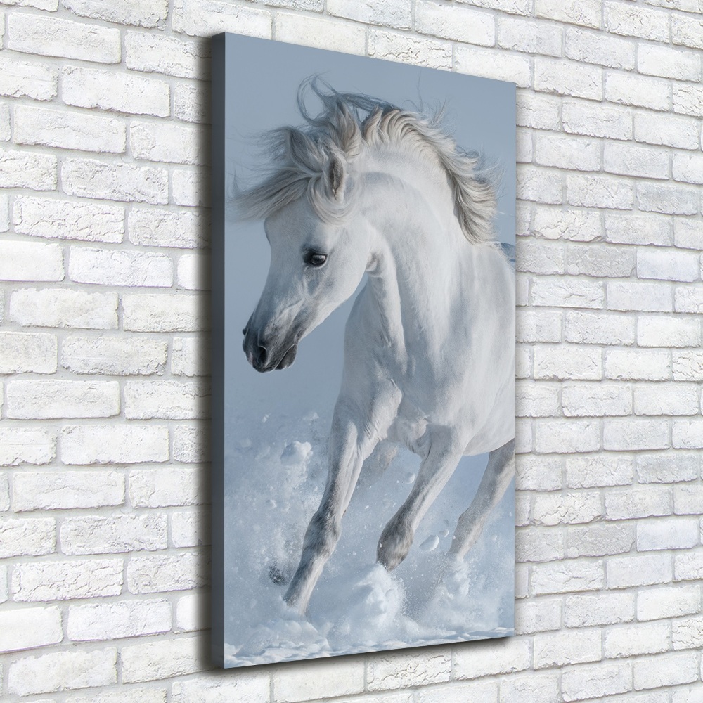 Tableau sur toile Cheval blanc au galop