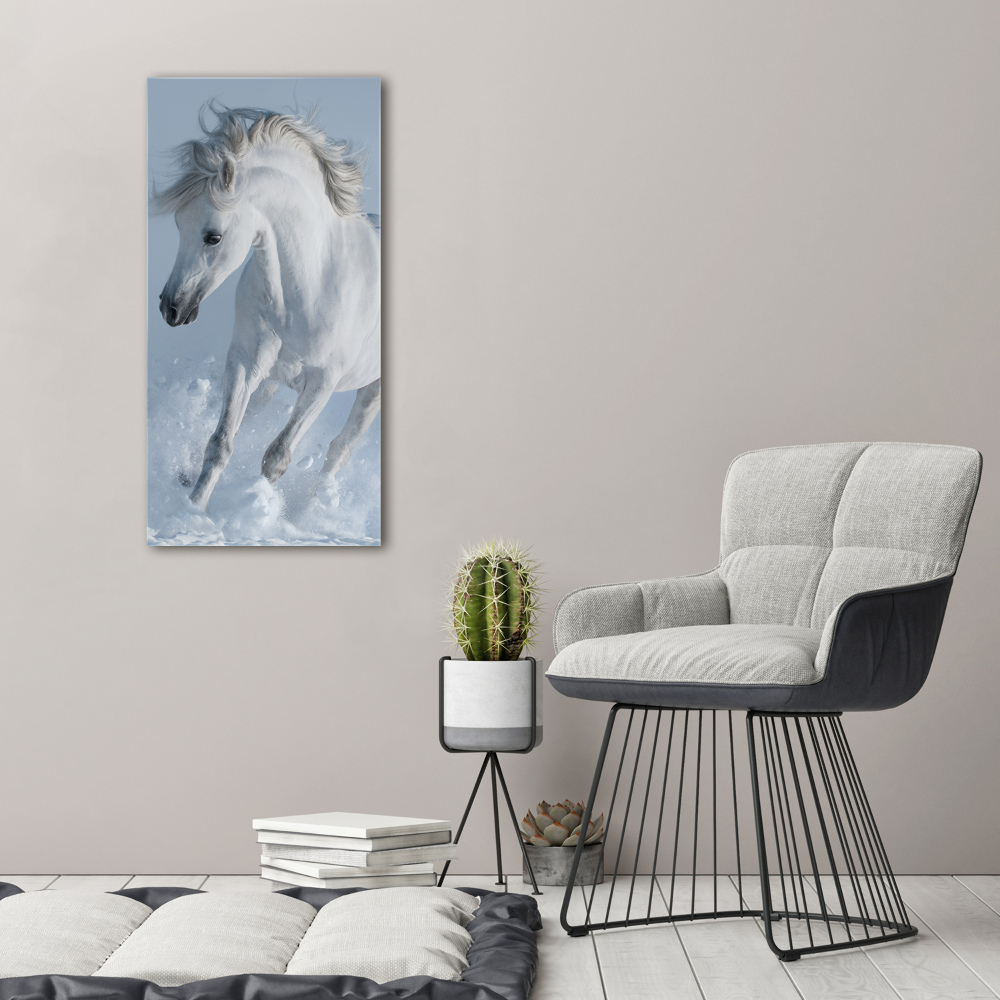 Tableau sur toile Cheval blanc au galop