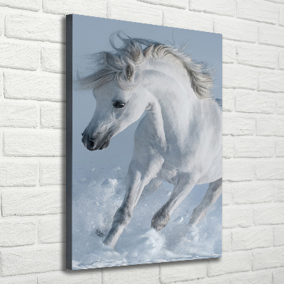 Tableau sur toile Cheval blanc au galop