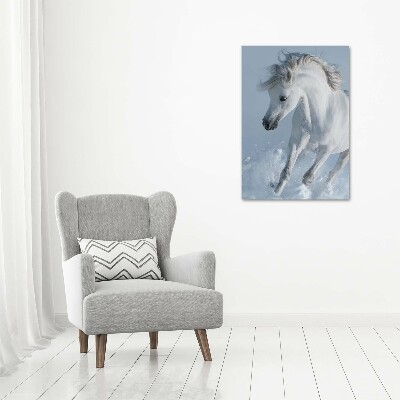 Tableau sur toile Cheval blanc au galop