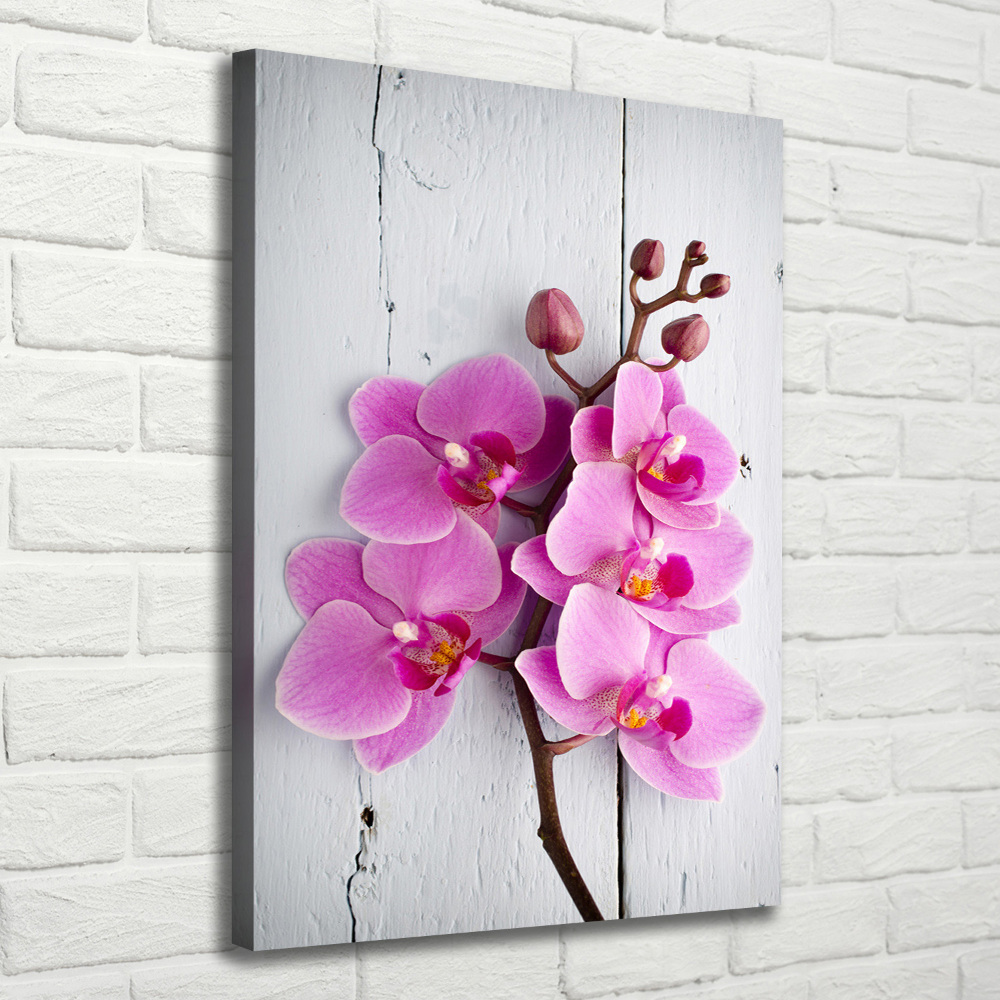 Tableau toile imprimée Orchidée rose