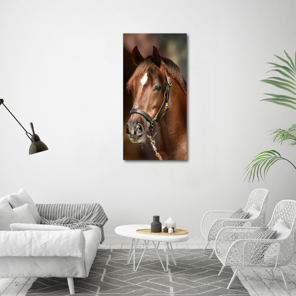 Tableau sur toile Portrait d'un cheval