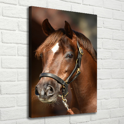 Tableau sur toile Portrait d'un cheval