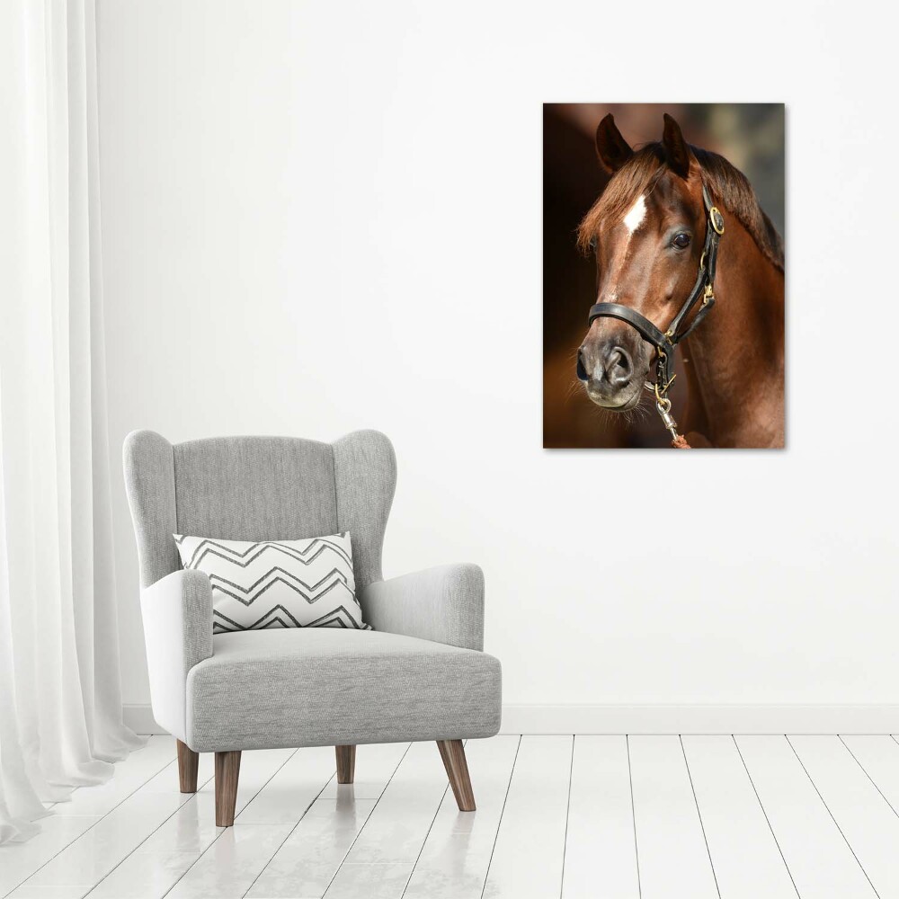 Tableau sur toile Portrait d'un cheval