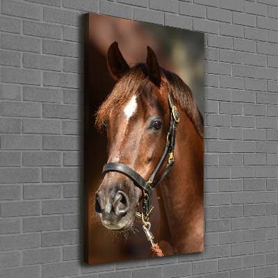 Tableau sur toile Portrait d'un cheval