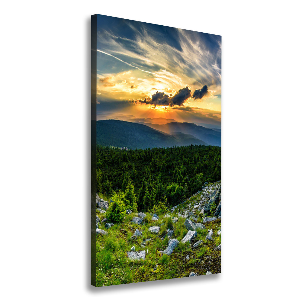 Tableau sur toile Panorama des montagnes