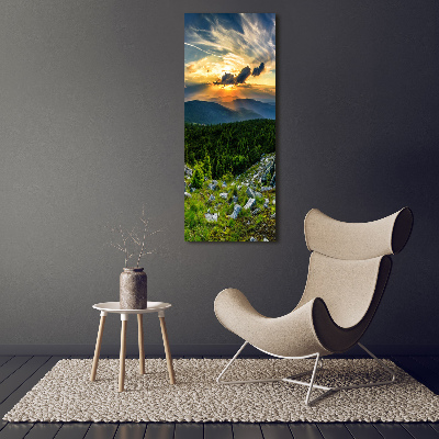 Tableau sur toile Panorama des montagnes