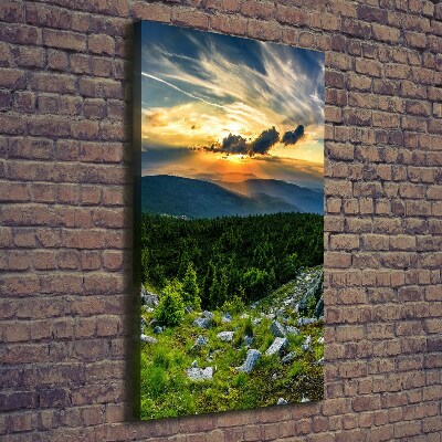 Tableau sur toile Panorama des montagnes