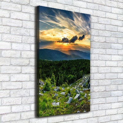 Tableau sur toile Panorama des montagnes