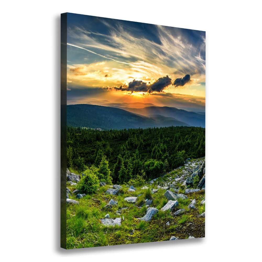 Tableau sur toile Panorama des montagnes