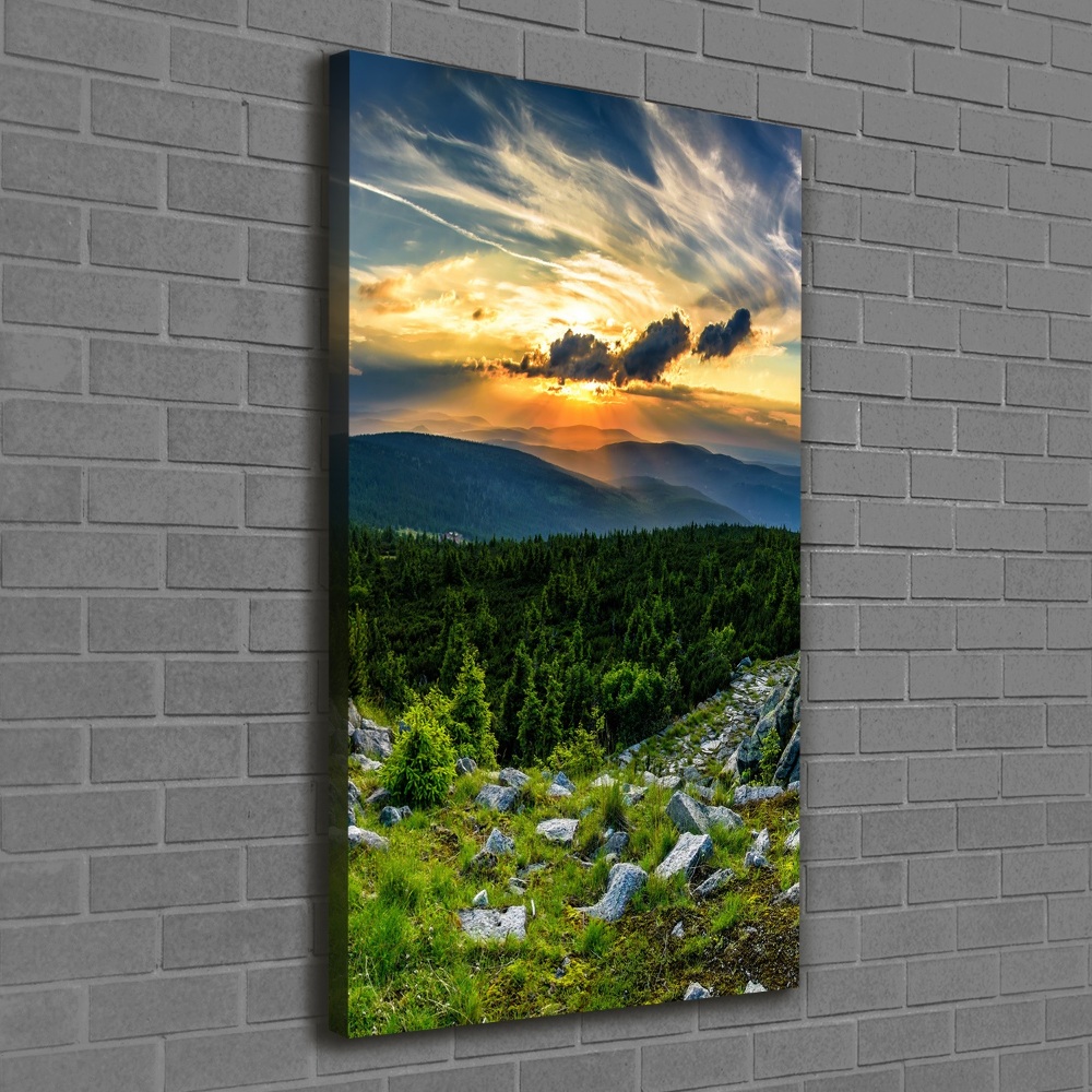 Tableau sur toile Panorama des montagnes