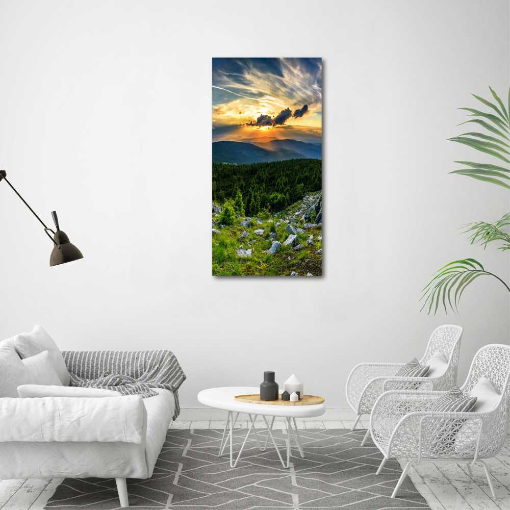 Tableau sur toile Panorama des montagnes