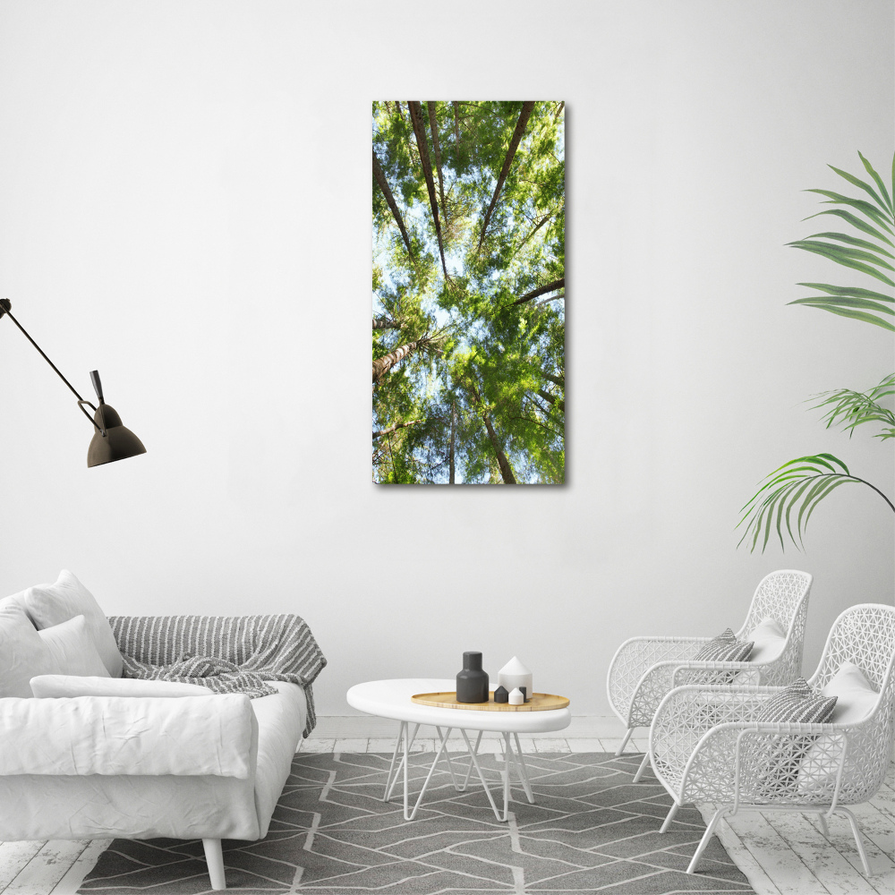 Tableau mural sur toile Couronne d'arbres