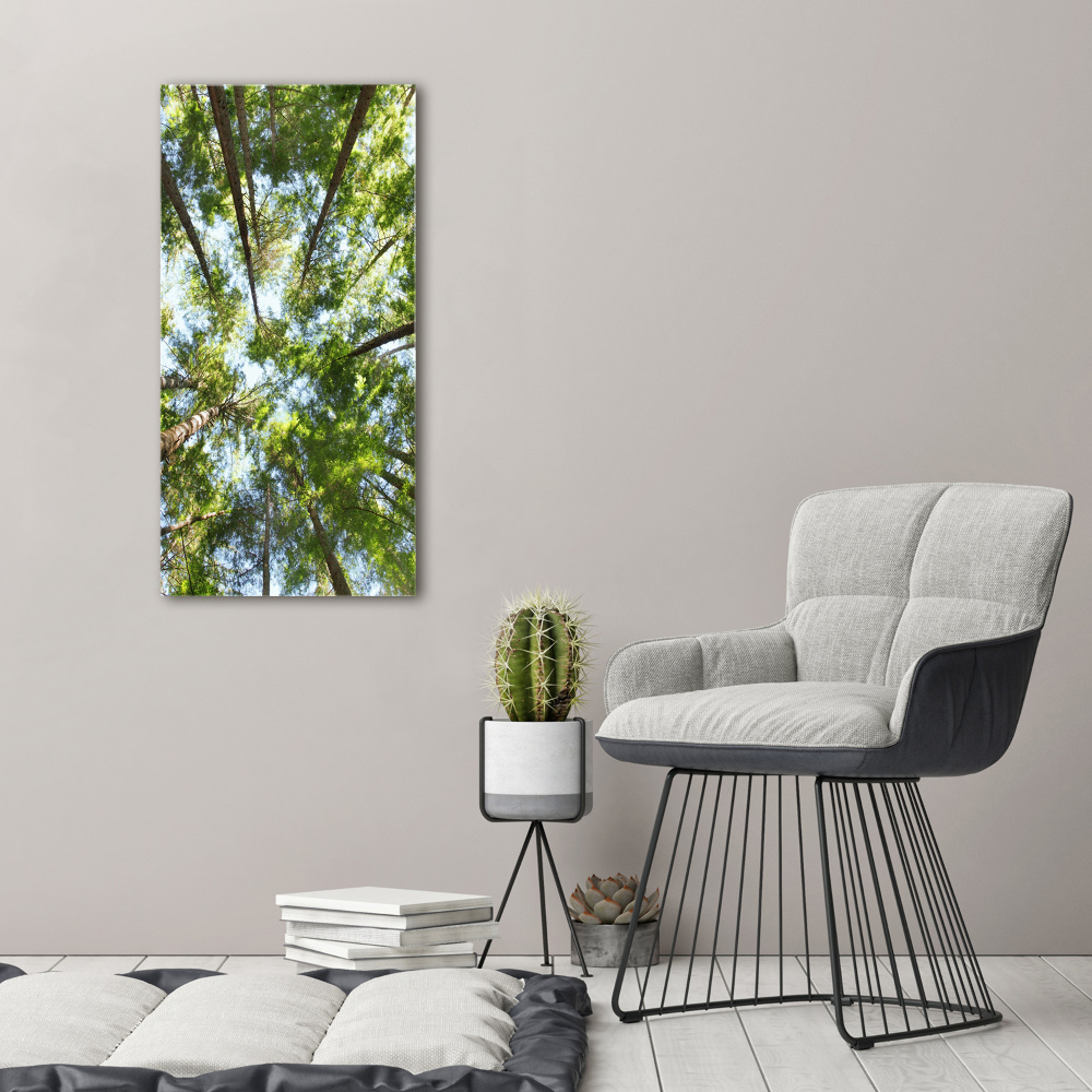 Tableau mural sur toile Couronne d'arbres