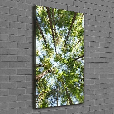 Tableau mural sur toile Couronne d'arbres