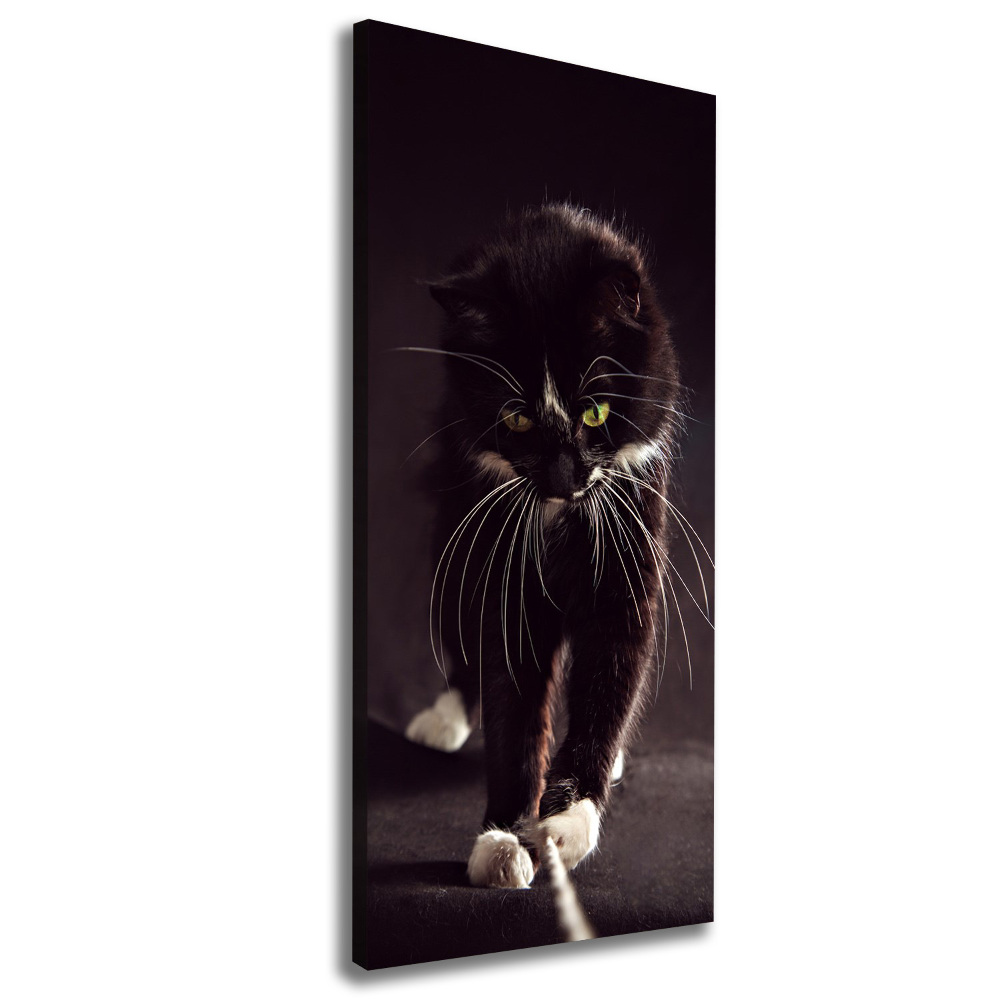 Tableau photo sur toile Chat noir