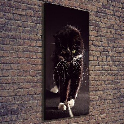 Tableau photo sur toile Chat noir